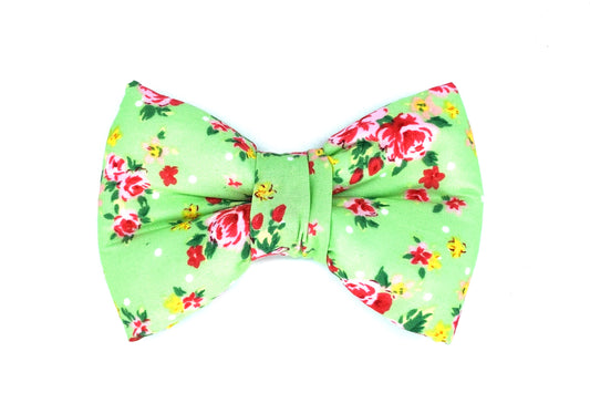 pretty-floral-dog-bowtie