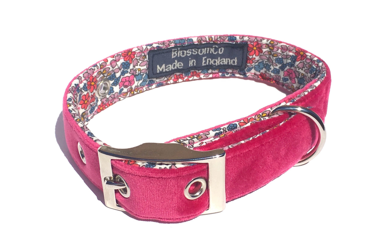 deep pink luxury velvet dog collar by BlossomCo