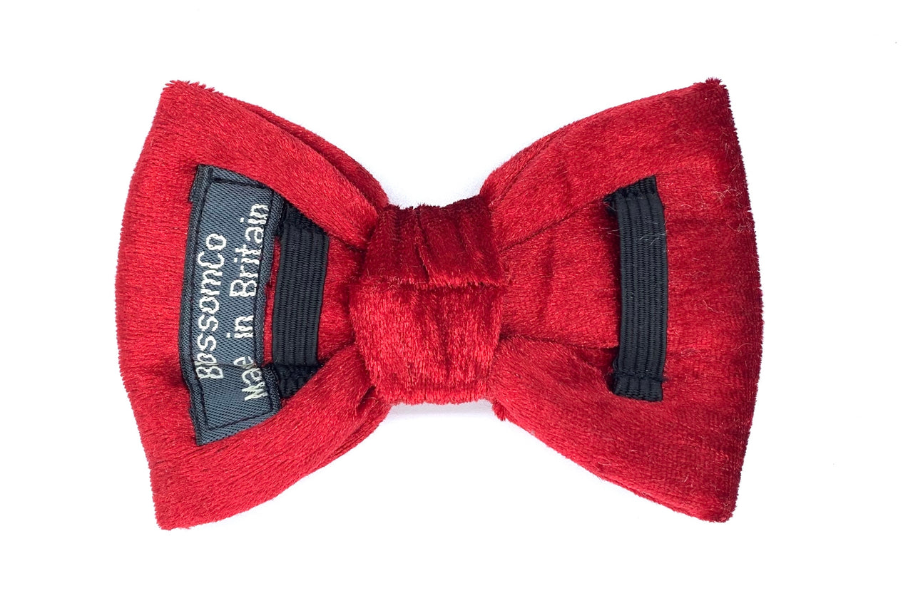 luxury red velvet dog bowtie to fit any collar