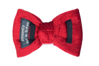 Thumbnail for luxury red velvet dog bowtie to fit any collar