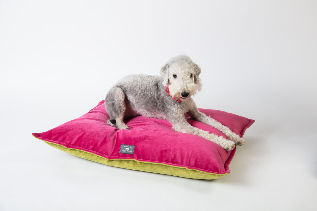 luxury velvet pillow style dog bed