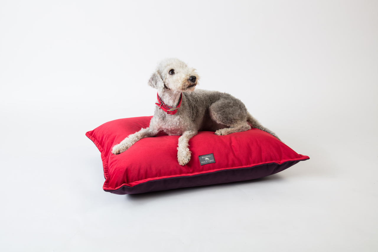 luxury pillow style velvet dog bed