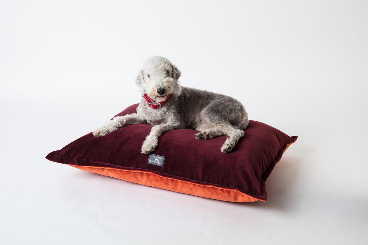 luxury pillow style velvet dog bed