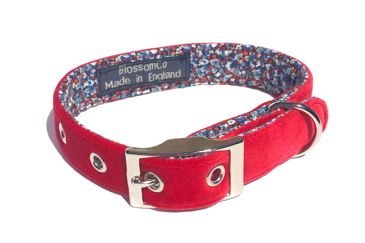 fabulous red velvet dog collar